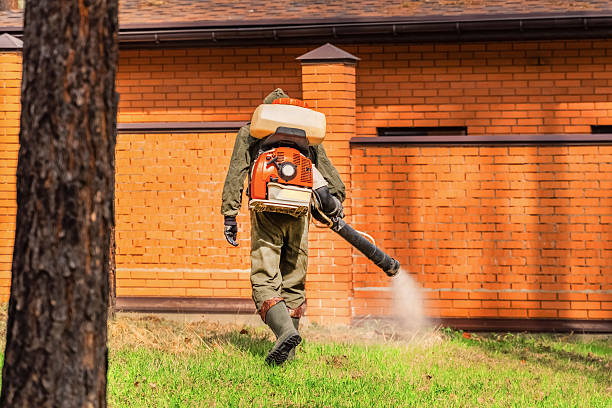 Bed Bug Clearance Verification and Documentation in Russells Point